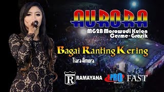 Download lagu BAGAI RANTING KERING. TIARA AMORA. AURORA CERME GRESIK mp3