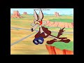 First Road Runner Episode 1949