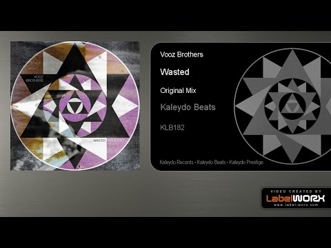 Vooz Brothers - Wasted (Original Mix)