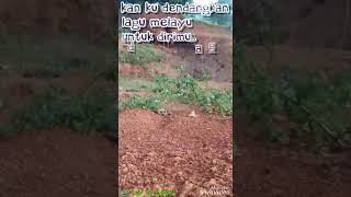 Download lagu Story WA (lagu melayu) mp3