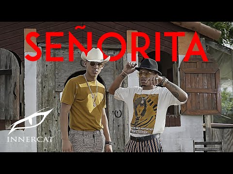 Señorita — YouTube