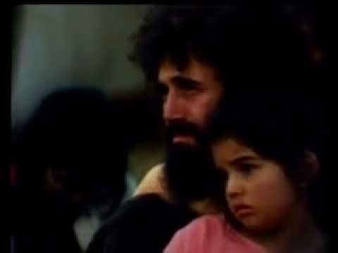 Give Trees A Chance the story of Terania Creek