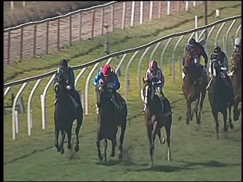 Galoppo 21/01/2017 - 4ª corsa