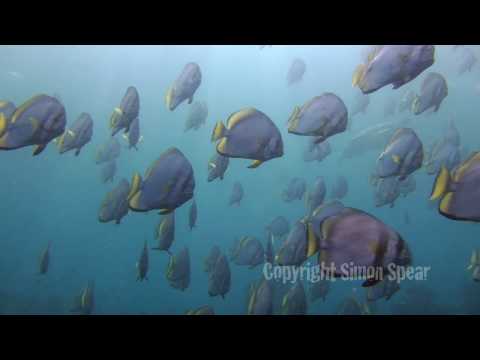 Earth? - A Celebration of our Water Planet