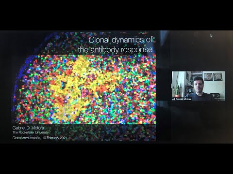 Clonal Dynamics of the B cell response by Dr. Gabriel Victora