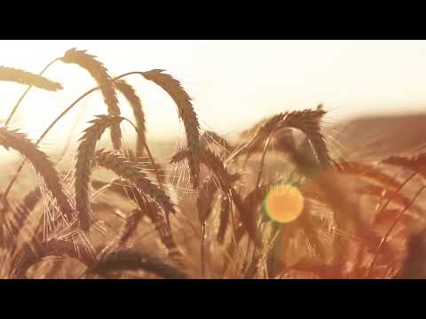 video frame placeholder