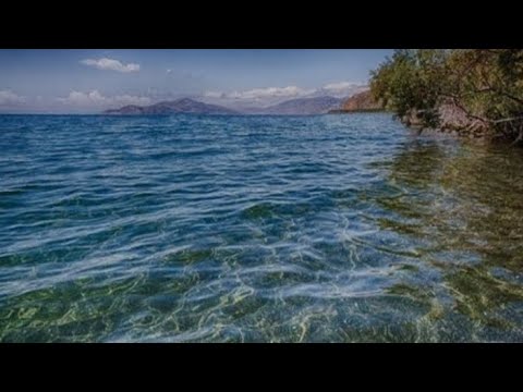 NAREK METS x DJ SMOKE x EMANUEL - SHOGA BASS [DARK ARMAVIR]