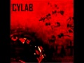 Cylab - Parting Fields (Black Harvest Mix By God Module)