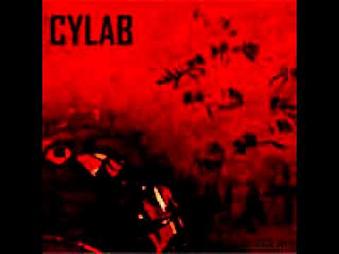 Cylab - Parting Fields (Black Harvest Mix By God Module)