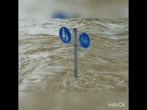 PHONETIX - PHONETIX - Blackout