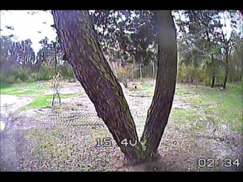 It's all about having fun