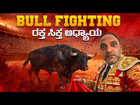 ನಿಜವಾದ ಗೂಳಿಗಳ ಮನುಷ್ಯನ ಕಾಳಗ‼️🤯 | Real Bull Fighting | Flying Passport