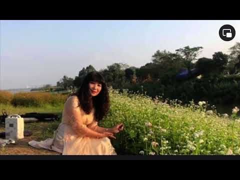 Tiếng hát cho đời - Tố Uyên