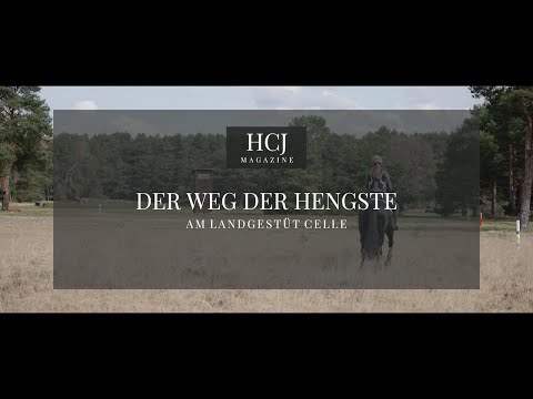 , title : 'Der Weg eines Hengstes am Landgestüt Celle - Youngster, S-Sieger und Ruhestandspferde'