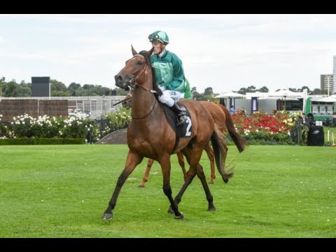 2018 VRC Blamey Stakes