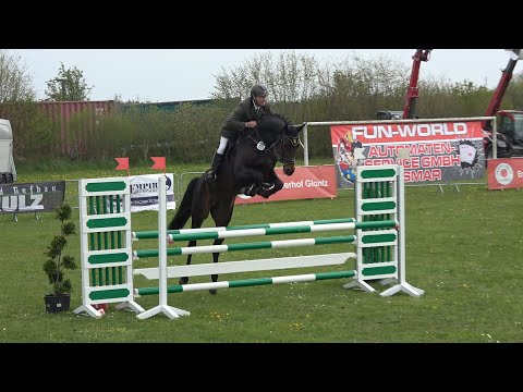 Akando v. Askari - Askanier, DSP Hengst, gekört * 2018