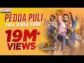 Pedda Puli Full Video Song | Chal Mohan Ranga Movie Songs | Nithiin,  Megha Akash | Thaman S