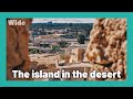 Siwa Oasis: a perfume of eternity | WIDE