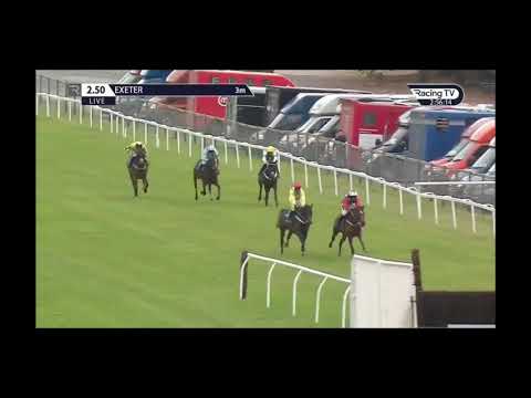 Kitty's Light (Jack Tudor) Exeter win