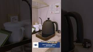 Disney Adventure – Deluxe Oceanview Stateroom with Verandah | Disney Cruise Line