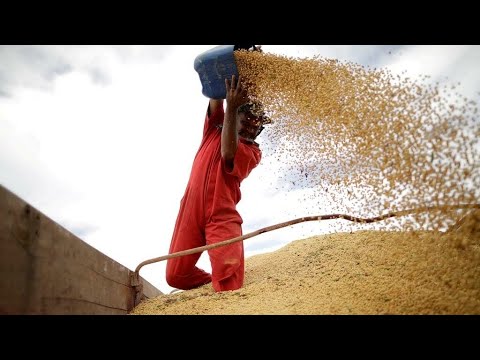 Fotograma del vídeo: De trigo a fertilizantes, así afecta la guerra en Ucrania los precios de los alimentos