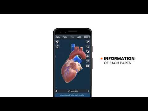 Heart Anatomy Pro. Video
