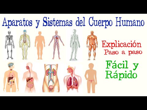 👤Human Body Systems and Devices | [Easy & Fast] | BIOLOGY |