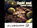 Liquid Soul - Hypnotic Energy
