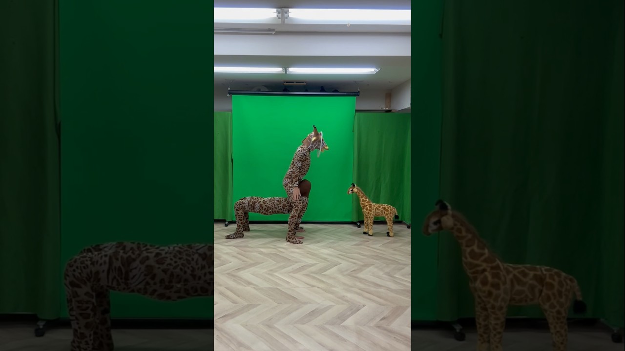 【A giraffe playing ring toss】#giraffe #challenge #funny