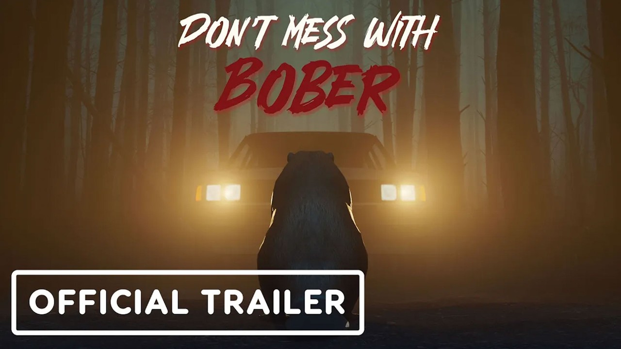 Don't Mess With Bober