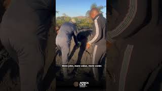 #Let's talk about mining - Africa L.E.O #Luxury #Entrepreneurship #Opportunities