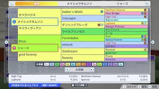 【人柱】 ダービースタリオン２枠  【雑談】