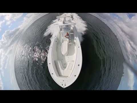 36 Yellowfin Fish Inn