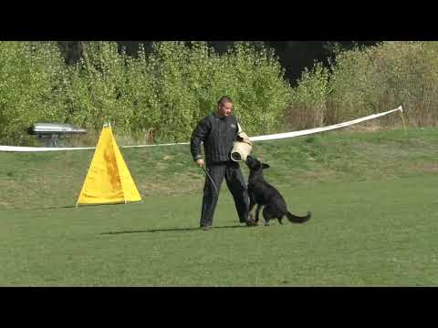 MM MSKS Zbraslav 2018 - Klomínský Břetislav - Chalsea z údolí Úpy - obrana/defense