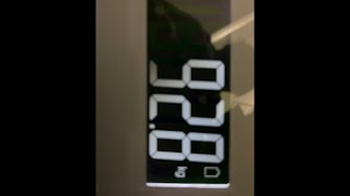 ガチダイエット散歩