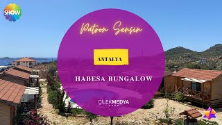 Patron Sensin I HABESA BUNGALOV I Show Türk