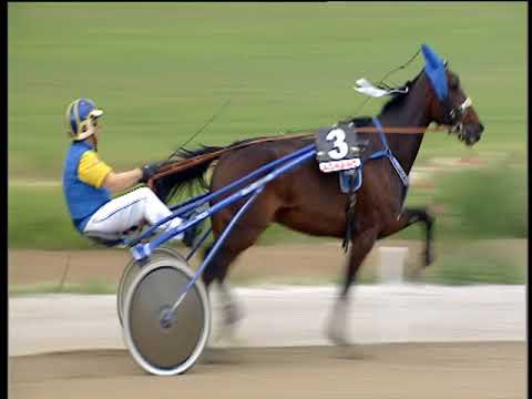 Trotto 07/06/2018 - 2ª corsa