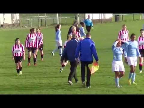 Samenvatting Hermes DVS MA1 -  Dilettant MA1