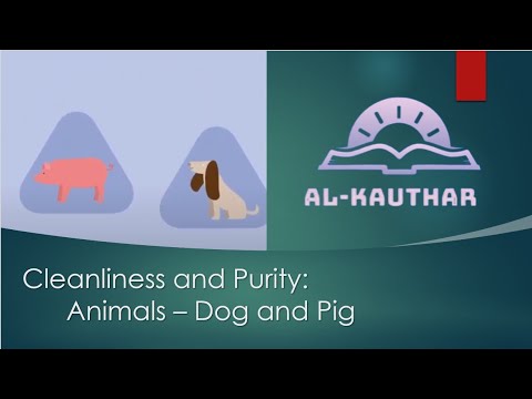 Cleanliness and Purity: Animals - Dog & Pig - Girls & Ladies Session by Khanum Sr Asma Abidi