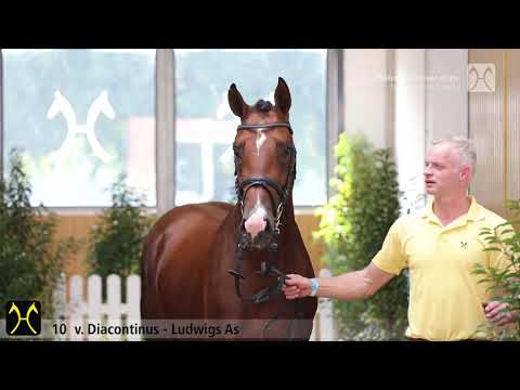 Verden Stallion Licensing 2020 - No. 10 Stallion by Diacontinus - Ludwigs As - Lordanos