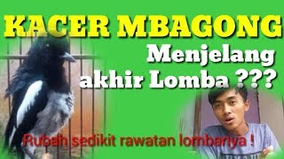 Download lagu KACER MBAGONG DI AKHIR / MENJELANG AKHIR LOMBA ? Gini penanganannya .. mp3 Download lagu KACER MBAGONG DI AKHIR / MENJELANG AKHIR LOMBA ? Gini penanganannya .. mp3