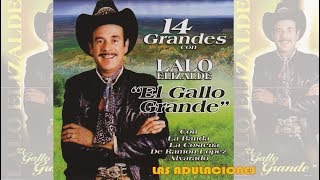Lalo Elizalde El Gallo Grande - Las Adulaciones (Canción Completa)