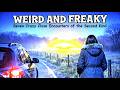 Weird and Freaky: Seven Crazy Close Encounters of the Second Kind