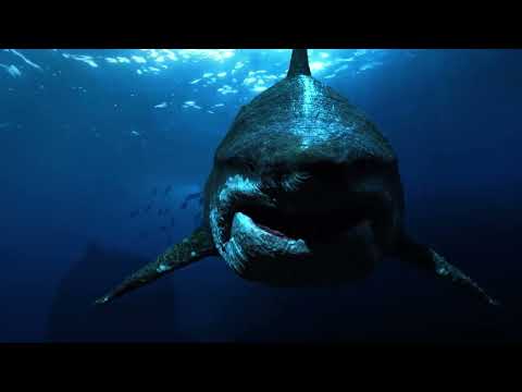 Cenozoic: Age of the Mammals - Megalodon vs Livyatan