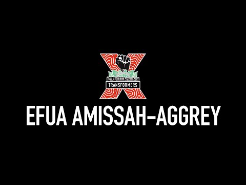 Creativity is Our Birthright | Efua Amissah-Aggrey | TEDxKingLincolnBronzevillle