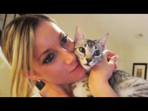 YOU CAT TO BE KITTEN ME RIGHT MEOW