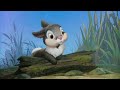 Good Night Thumper Disney Bunnies Story Read Aloud Storybook