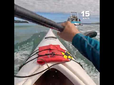 Boat waves fun #kayak #seakayaking #kayakingfun #newzealand
