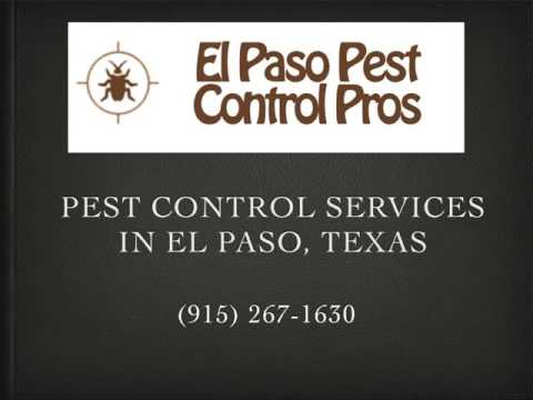 download lagu mp3 mp4 Types Of Pests Found In el, download lagu Types Of Pests Found In el gratis, unduh video klip Types Of Pests Found In el