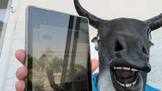 A extrema direita mundial de Trump, Netanyahu, Bolsonaro etc...irá acabar...serão EXTINTOS!